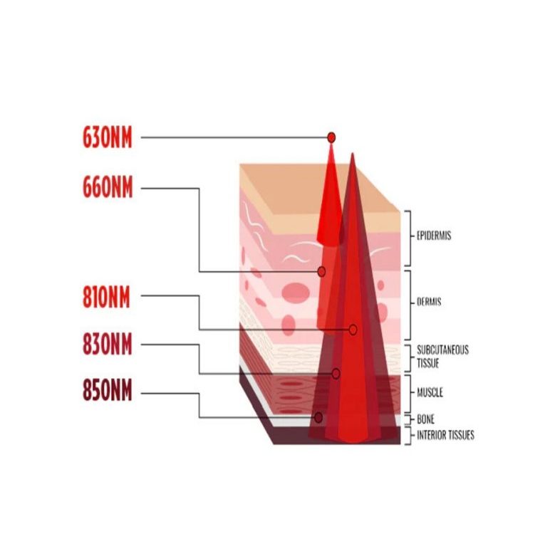 Choosing a Red Light Therapy Manufacturer: Four Comparative Insights That Matter